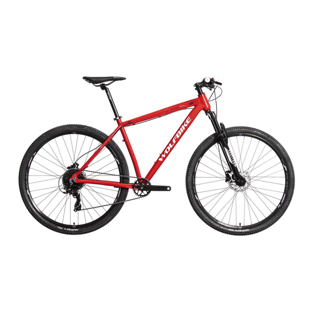 Bicicleta de Montaña / Mountain Bike